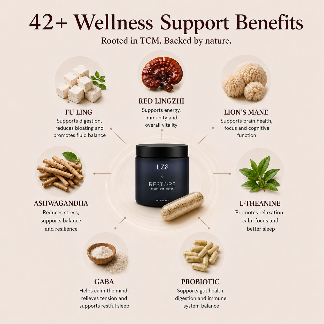Night Restore TCM Formula: Sleep + Gut Reset