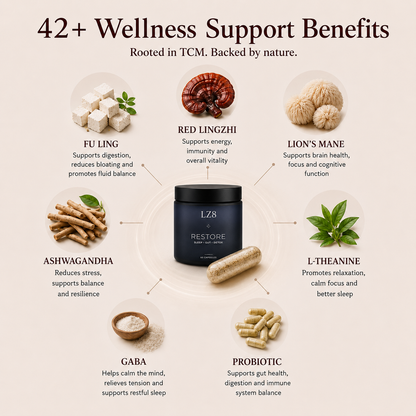 Night Restore TCM Formula: Sleep + Gut Reset