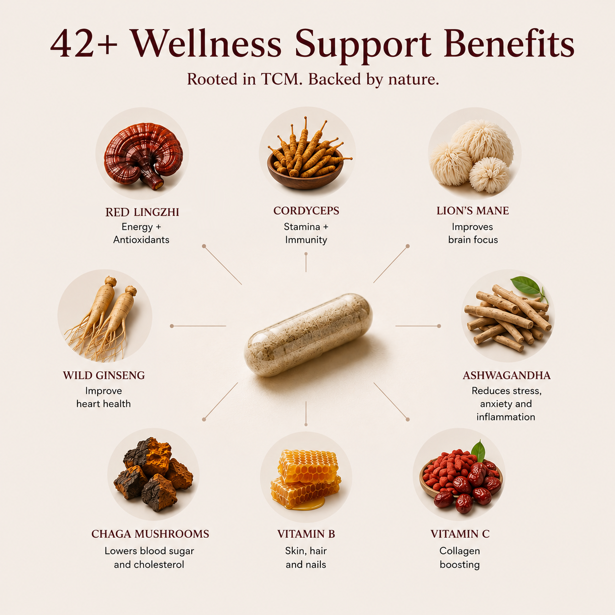 Daily Vitality TCM Formula: Energy + Immunity